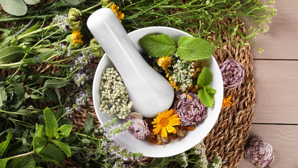 Mortar with pestle and many different herbs on wooden table, flat lay